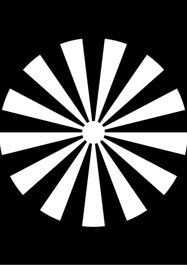 High-contrast sunburst card for a newborn — white on black, thinnest feature 25.6 mm.