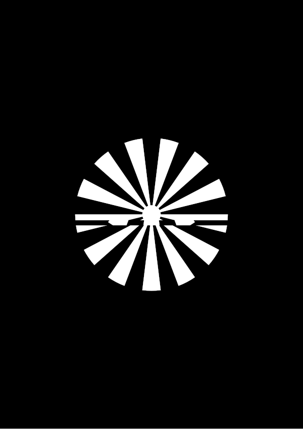 High-contrast sunburst card for a newborn to look at from 30 cm — white on black, thinnest feature 12.8 mm.