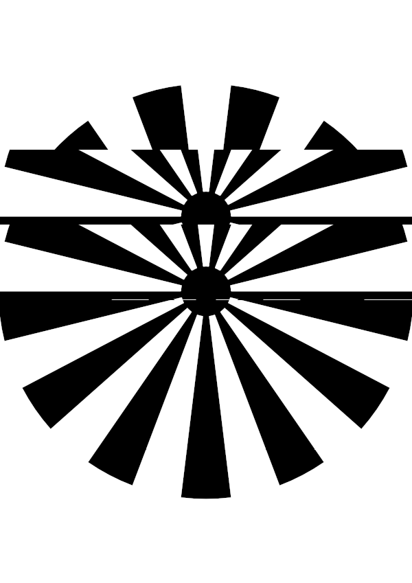 High-contrast sunburst card for a newborn to look at from 60 cm — black on white, thinnest feature 25.6 mm.